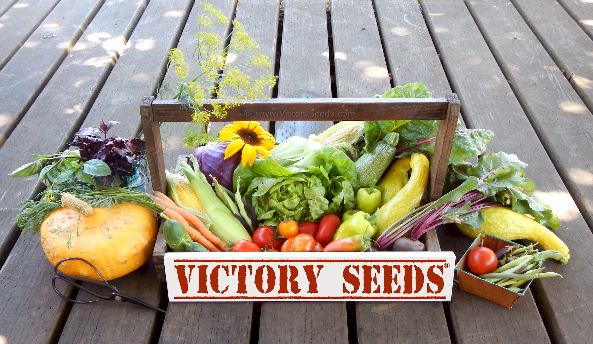 The Victory Seed Company Helps Certified Naturally Grown Grow!
