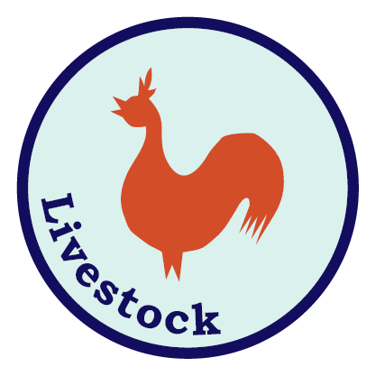 Livestock Certification