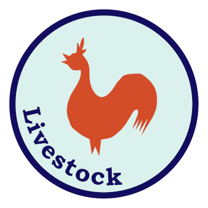 Livestock Certification