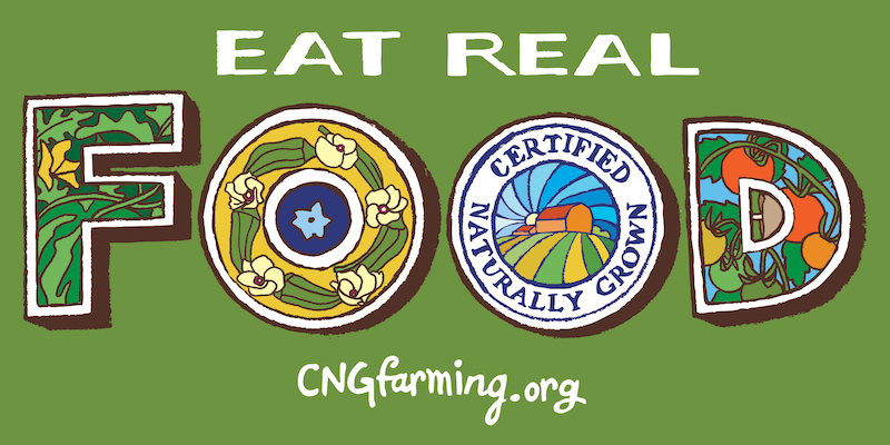 Eat Real Food Sticker – Green