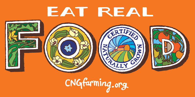 Eat Real Food Sticker – Orange