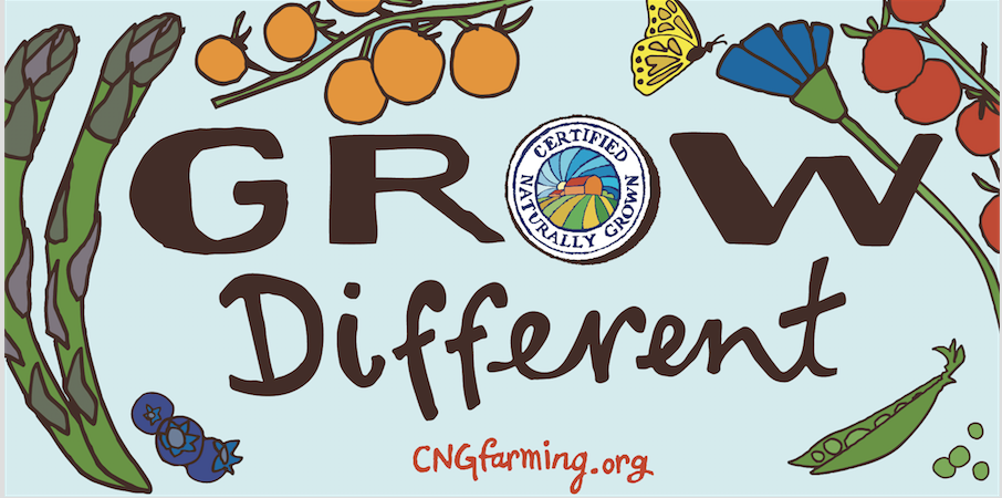 Grow Different Sticker