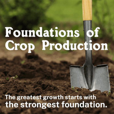 Foundations Of Crop Production