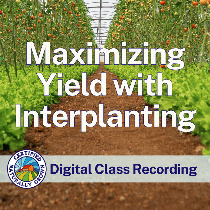 Maximizing Yield with Interplanting – Digital Class Recording