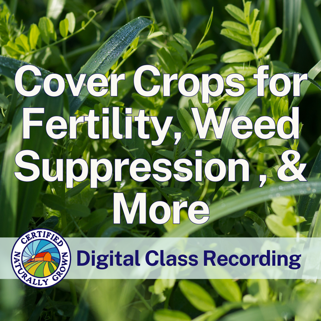 Cover Crops for Fertility, Weed Suppression, & More – Digital Class Recording