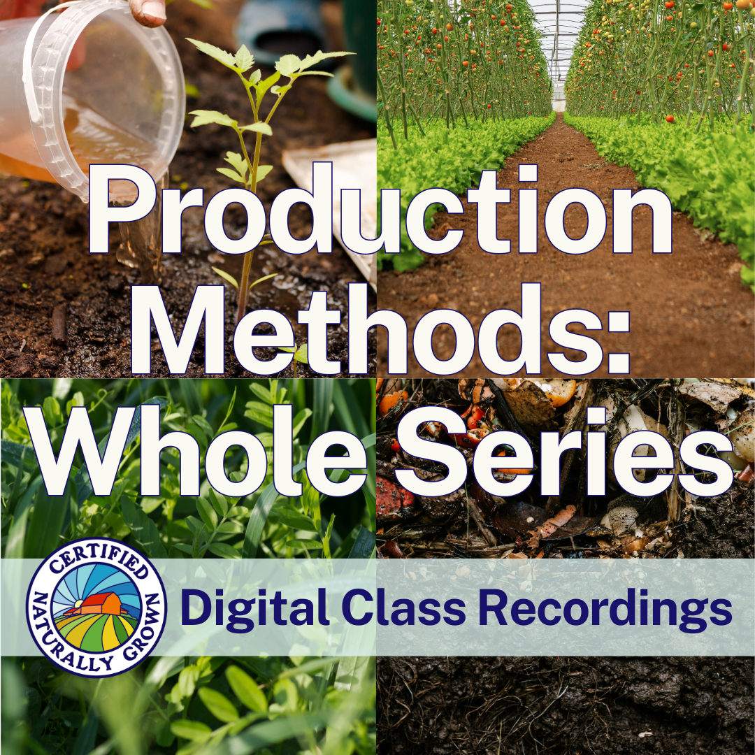 Production Methods: Whole Series – Digital Class Recordings