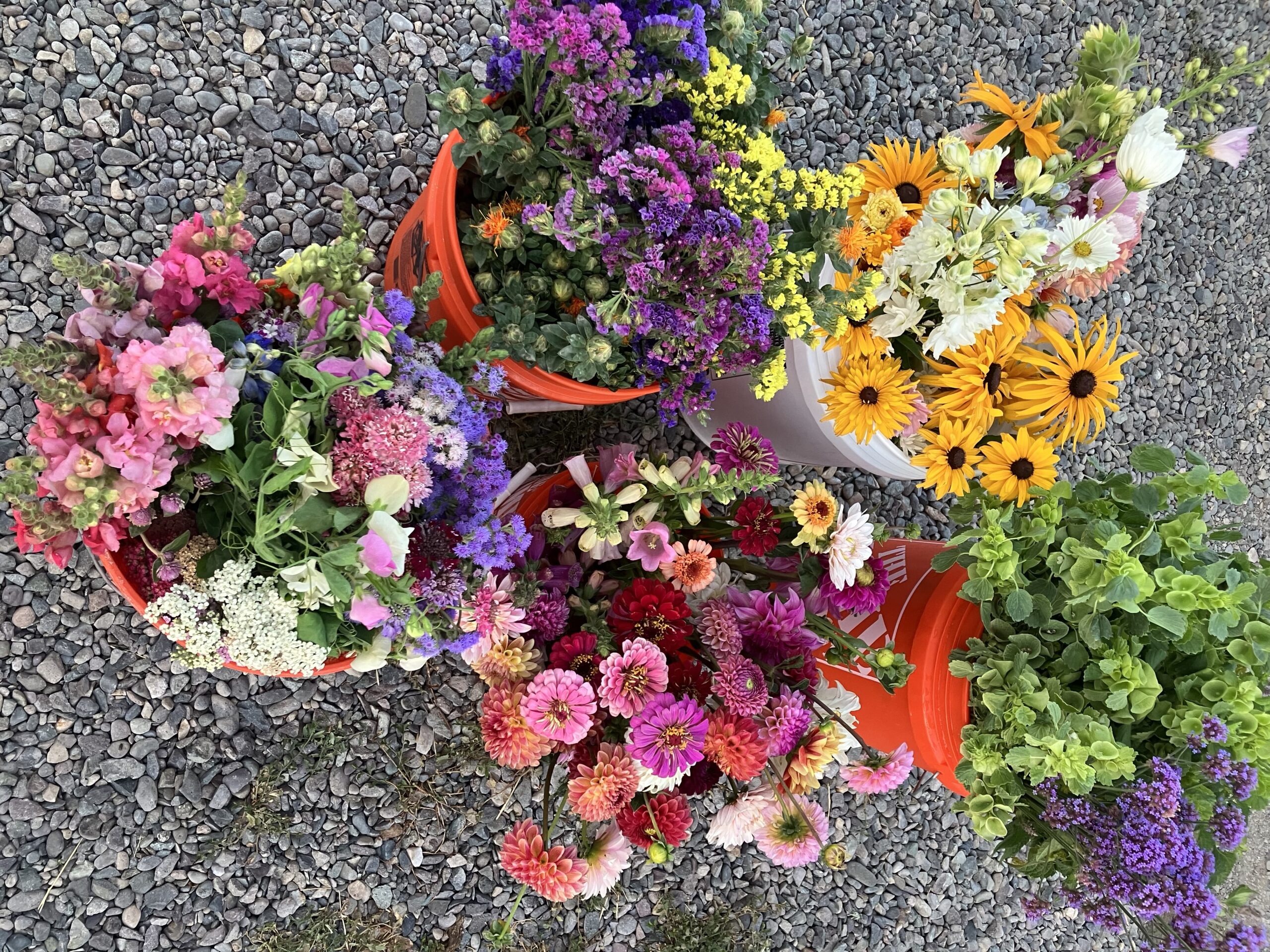 Farmer Meetup: Cut Flowers
