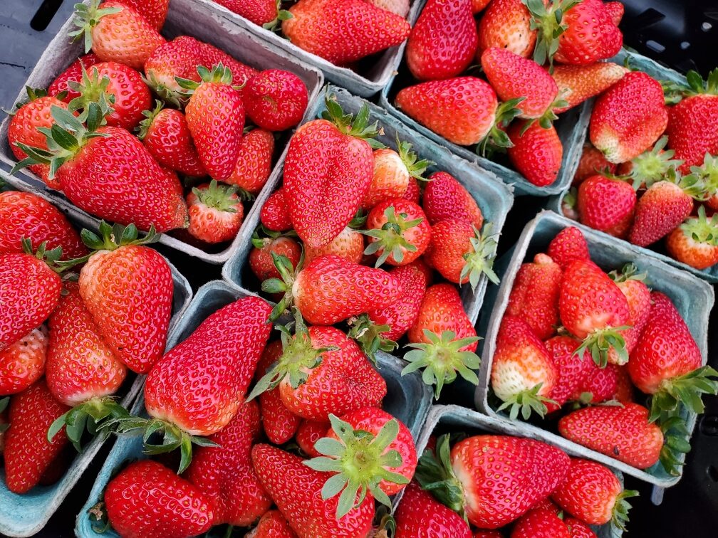 Farmer Meetup: Strawberries